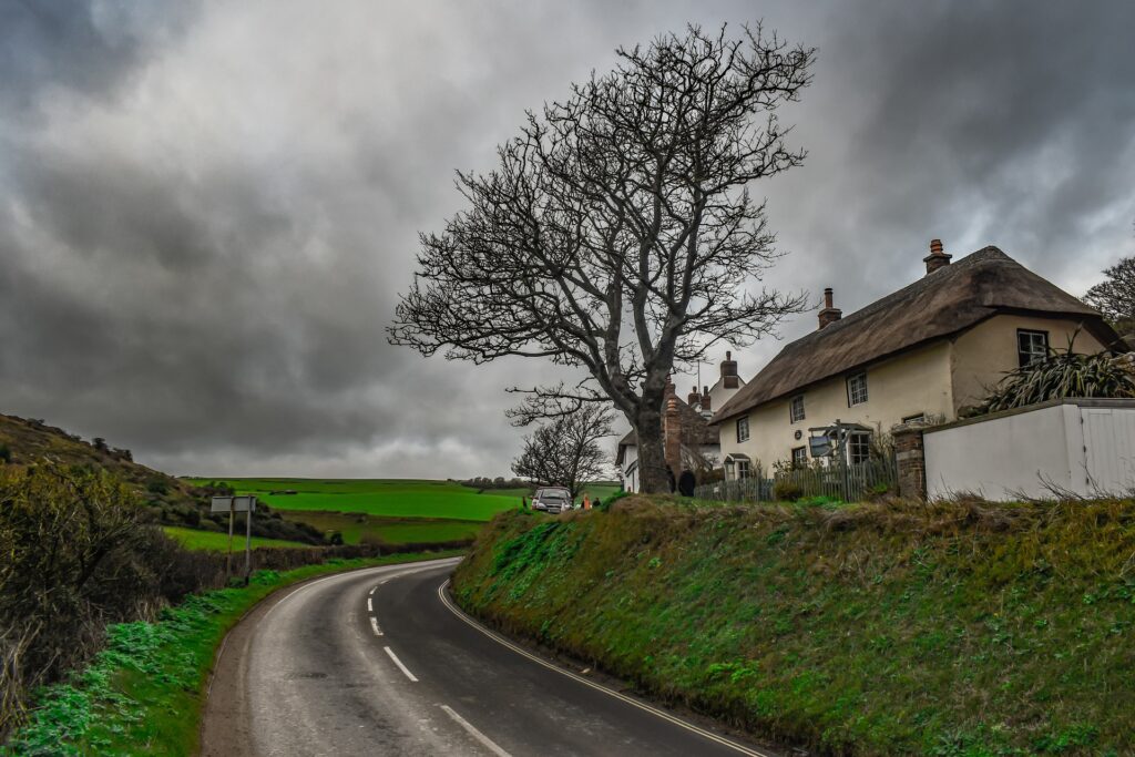 landscaped house