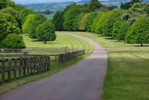 New Build Homes in Beaulieu What You Need to Know