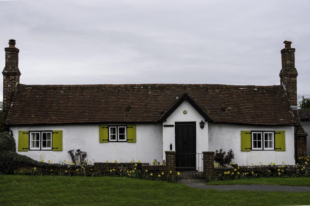Buying a Cottage in the New Forest Conservation Rules, Ponies & Practicalities
