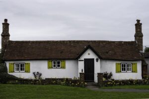 Buying a Cottage in the New Forest Conservation Rules, Ponies & Practicalities