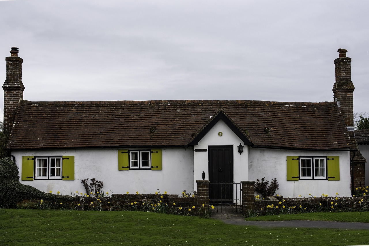 Buying a Cottage in the New Forest Conservation Rules, Ponies & Practicalities
