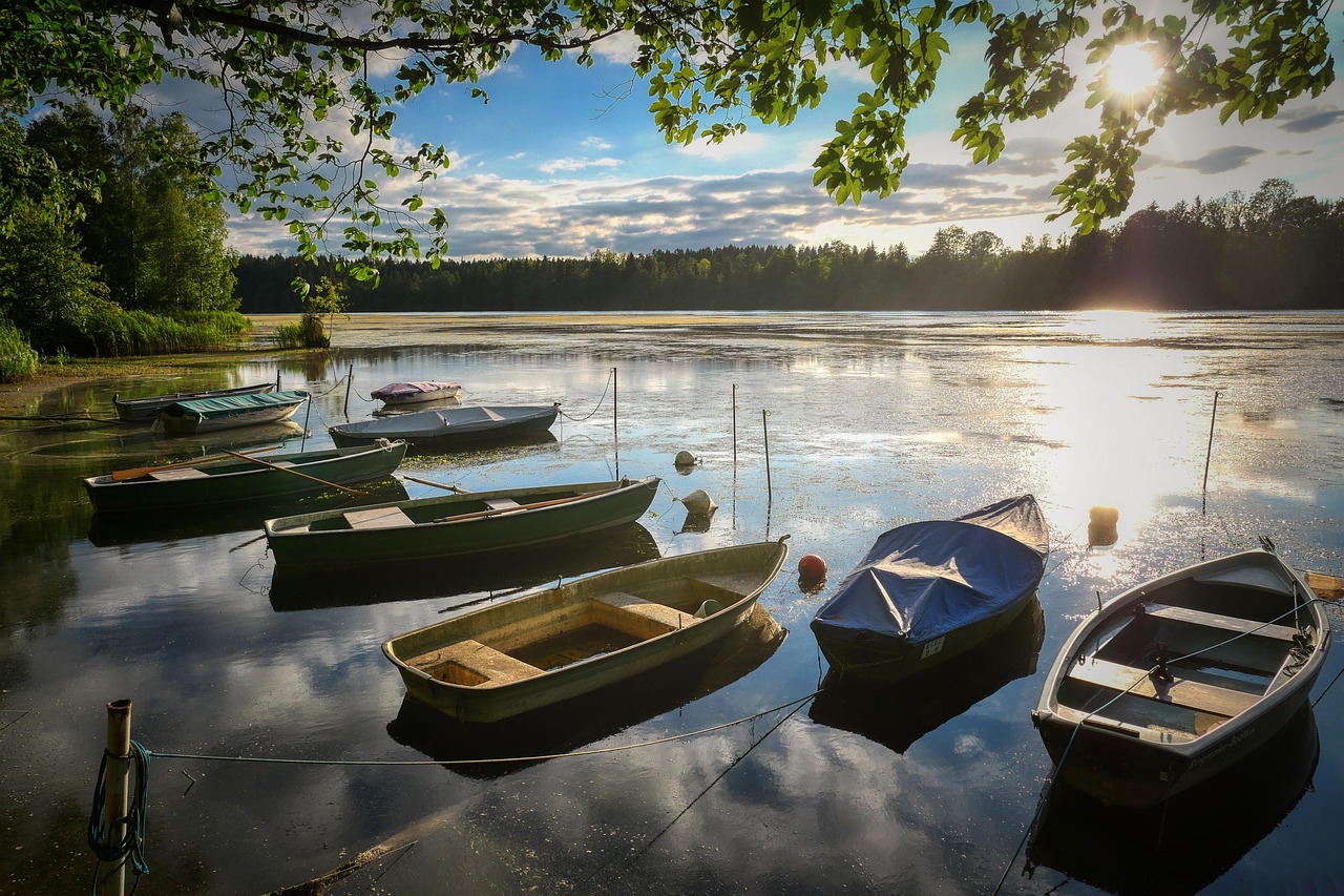 Coastal vs Forest Edge Lymington, Milford-on-Sea, Sway & New Milton Compared