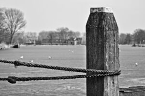 Prime vs Off-Market Finding Exclusive Listings in the New Forest