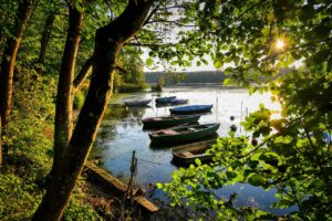 School Catchment Secrets Buying Near Top Hampshire Schools