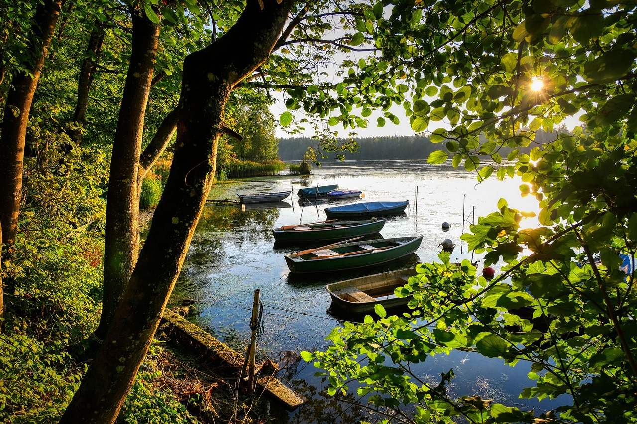 School Catchment Secrets Buying Near Top Hampshire Schools